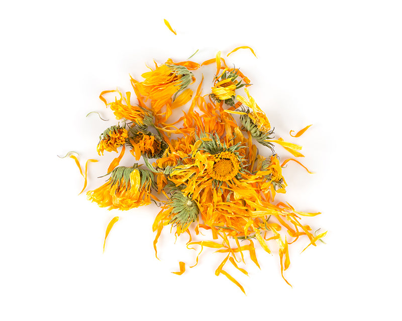 The Power of Calendula: A Guide to Nourishing Skincare for Babies and Children